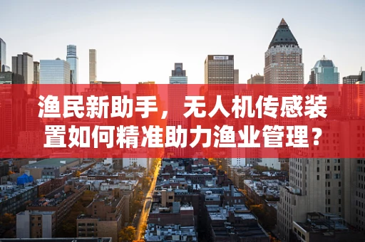 渔民新助手，无人机传感装置如何精准助力渔业管理？