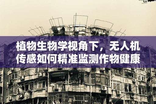 植物生物学视角下，无人机传感如何精准监测作物健康？
