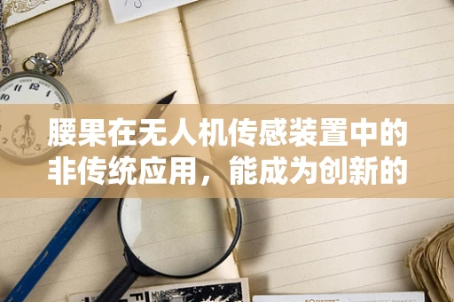 腰果在无人机传感装置中的非传统应用，能成为创新的关键吗？