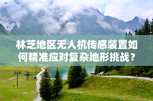 林芝地区无人机传感装置如何精准应对复杂地形挑战？