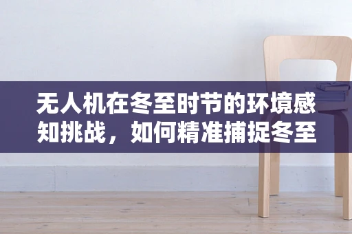 无人机在冬至时节的环境感知挑战，如何精准捕捉冬至阳光的独特视角？