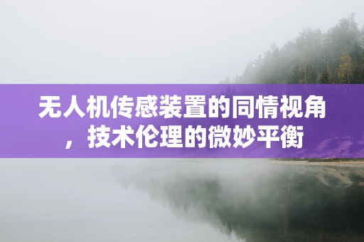无人机传感装置的同情视角，技术伦理的微妙平衡