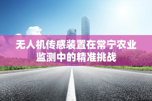 无人机传感装置在常宁农业监测中的精准挑战