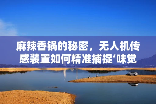 麻辣香锅的秘密，无人机传感装置如何精准捕捉‘味觉’？