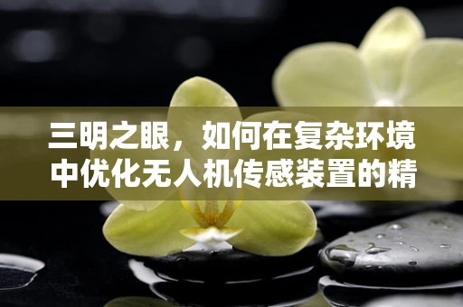 三明之眼，如何在复杂环境中优化无人机传感装置的精准度？