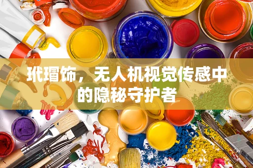 玳瑁饰，无人机视觉传感中的隐秘守护者
