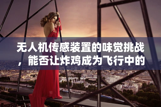 无人机传感装置的味觉挑战，能否让炸鸡成为飞行中的安全守护者？