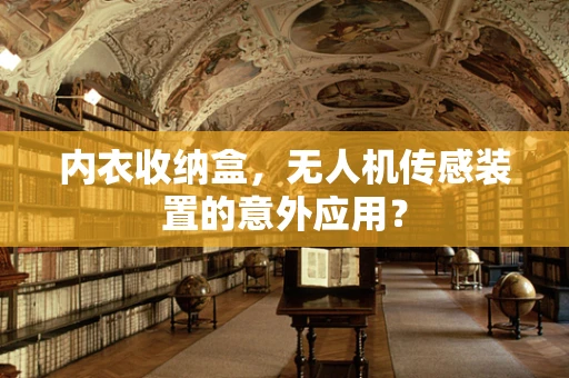 内衣收纳盒，无人机传感装置的意外应用？