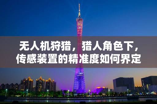 无人机狩猎，猎人角色下，传感装置的精准度如何界定？