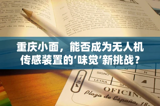 重庆小面，能否成为无人机传感装置的‘味觉’新挑战？