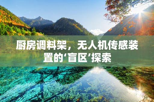 厨房调料架，无人机传感装置的‘盲区’探索