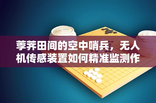 荸荠田间的空中哨兵，无人机传感装置如何精准监测作物健康？