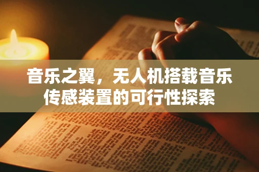 音乐之翼，无人机搭载音乐传感装置的可行性探索