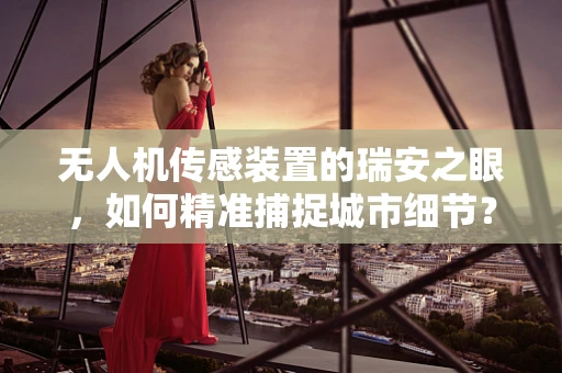 无人机传感装置的瑞安之眼，如何精准捕捉城市细节？