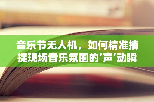 音乐节无人机，如何精准捕捉现场音乐氛围的‘声’动瞬间？