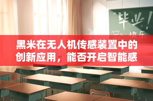 黑米在无人机传感装置中的创新应用，能否开启智能感知新纪元？