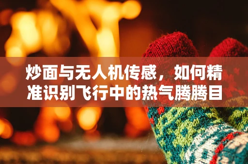 炒面与无人机传感，如何精准识别飞行中的热气腾腾目标？