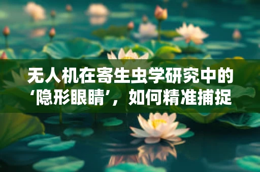 无人机在寄生虫学研究中的‘隐形眼睛’，如何精准捕捉并分析微小寄生虫？