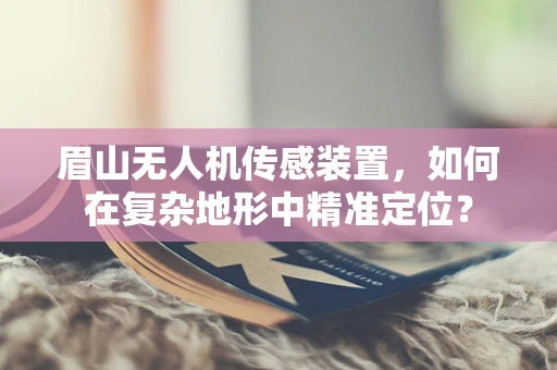 眉山无人机传感装置，如何在复杂地形中精准定位？