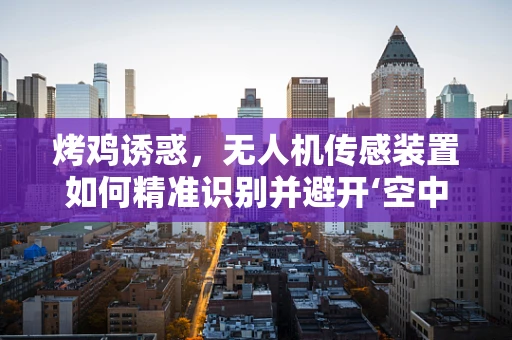 烤鸡诱惑，无人机传感装置如何精准识别并避开‘空中美食’？