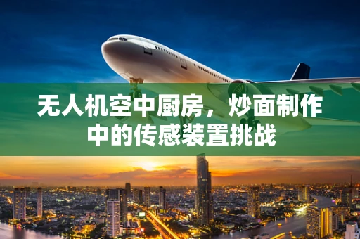 无人机空中厨房，炒面制作中的传感装置挑战