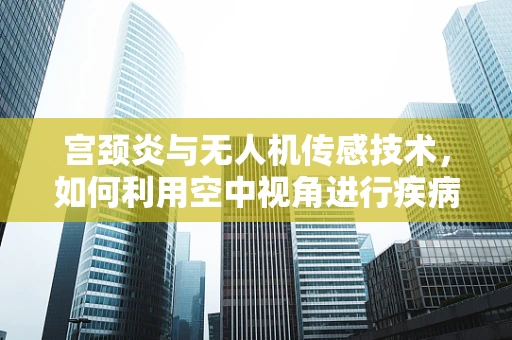 宫颈炎与无人机传感技术，如何利用空中视角进行疾病监测？
