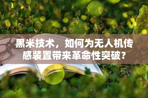 黑米技术，如何为无人机传感装置带来革命性突破？