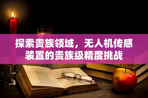 探索贵族领域，无人机传感装置的贵族级精度挑战