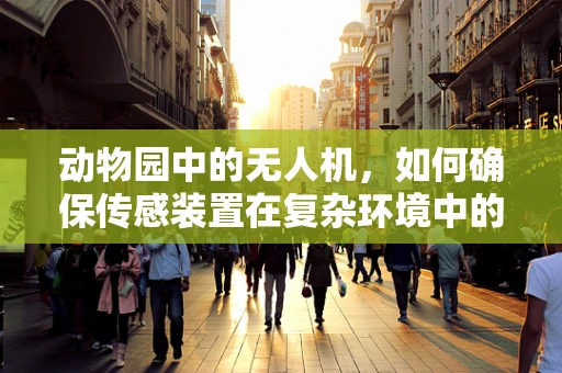 动物园中的无人机，如何确保传感装置在复杂环境中的精准性？