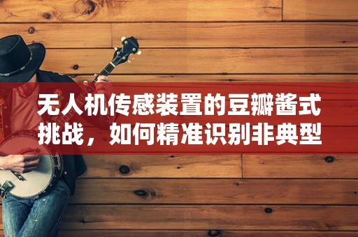 无人机传感装置的豆瓣酱式挑战，如何精准识别非典型目标？