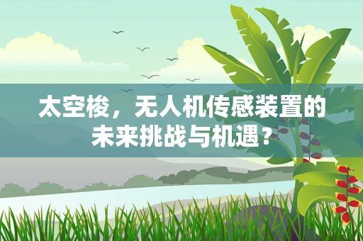 太空梭，无人机传感装置的未来挑战与机遇？