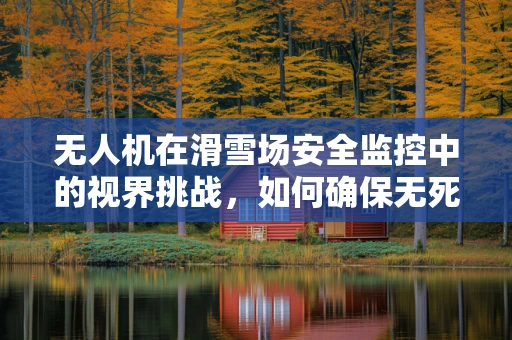 无人机在滑雪场安全监控中的视界挑战，如何确保无死角监测？