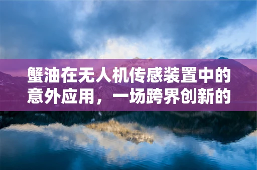 蟹油在无人机传感装置中的意外应用，一场跨界创新的火花？