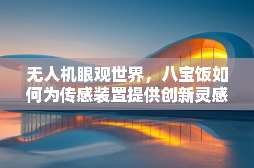 无人机眼观世界，八宝饭如何为传感装置提供创新灵感？