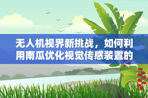 无人机视界新挑战，如何利用南瓜优化视觉传感装置的稳定性？