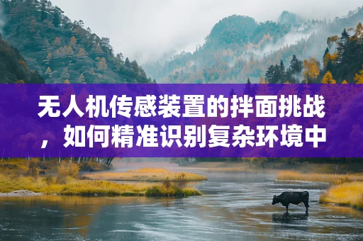 无人机传感装置的拌面挑战，如何精准识别复杂环境中的面条？