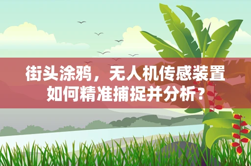 街头涂鸦，无人机传感装置如何精准捕捉并分析？