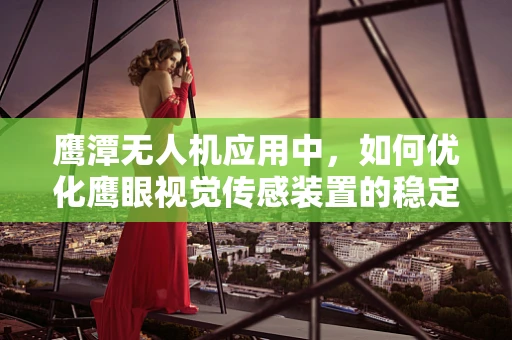 鹰潭无人机应用中，如何优化鹰眼视觉传感装置的稳定性与精度？