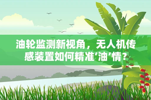 油轮监测新视角，无人机传感装置如何精准‘油’情？