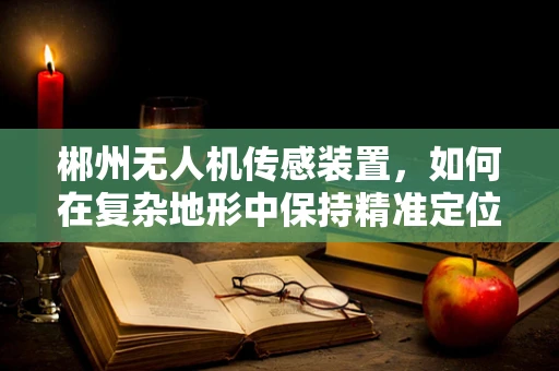 郴州无人机传感装置，如何在复杂地形中保持精准定位？