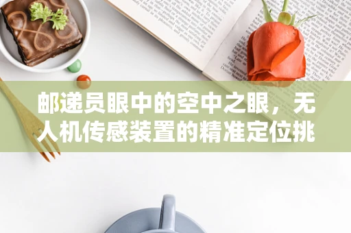 邮递员眼中的空中之眼，无人机传感装置的精准定位挑战