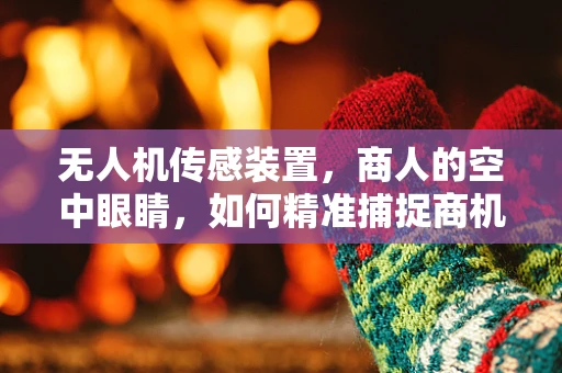 无人机传感装置，商人的空中眼睛，如何精准捕捉商机？