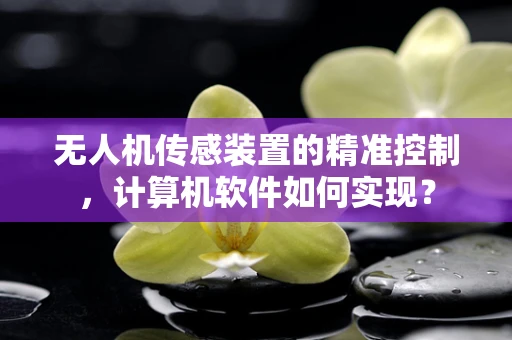 无人机传感装置的精准控制，计算机软件如何实现？