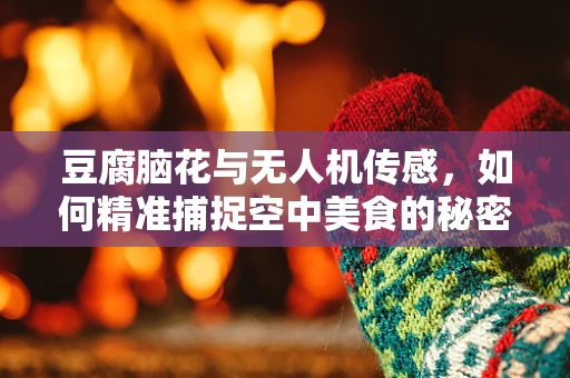 豆腐脑花与无人机传感，如何精准捕捉空中美食的秘密？