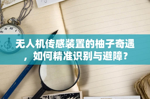 无人机传感装置的柚子奇遇，如何精准识别与避障？