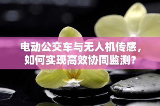 电动公交车与无人机传感，如何实现高效协同监测？