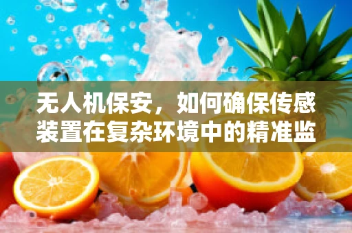 无人机保安，如何确保传感装置在复杂环境中的精准监控？