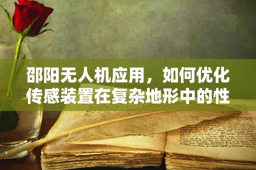 邵阳无人机应用，如何优化传感装置在复杂地形中的性能？