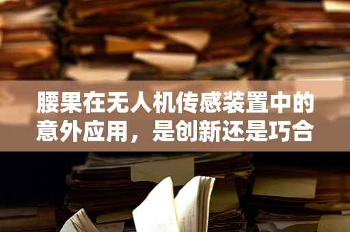 腰果在无人机传感装置中的意外应用，是创新还是巧合？