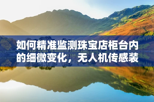 如何精准监测珠宝店柜台内的细微变化，无人机传感装置的挑战与解决方案